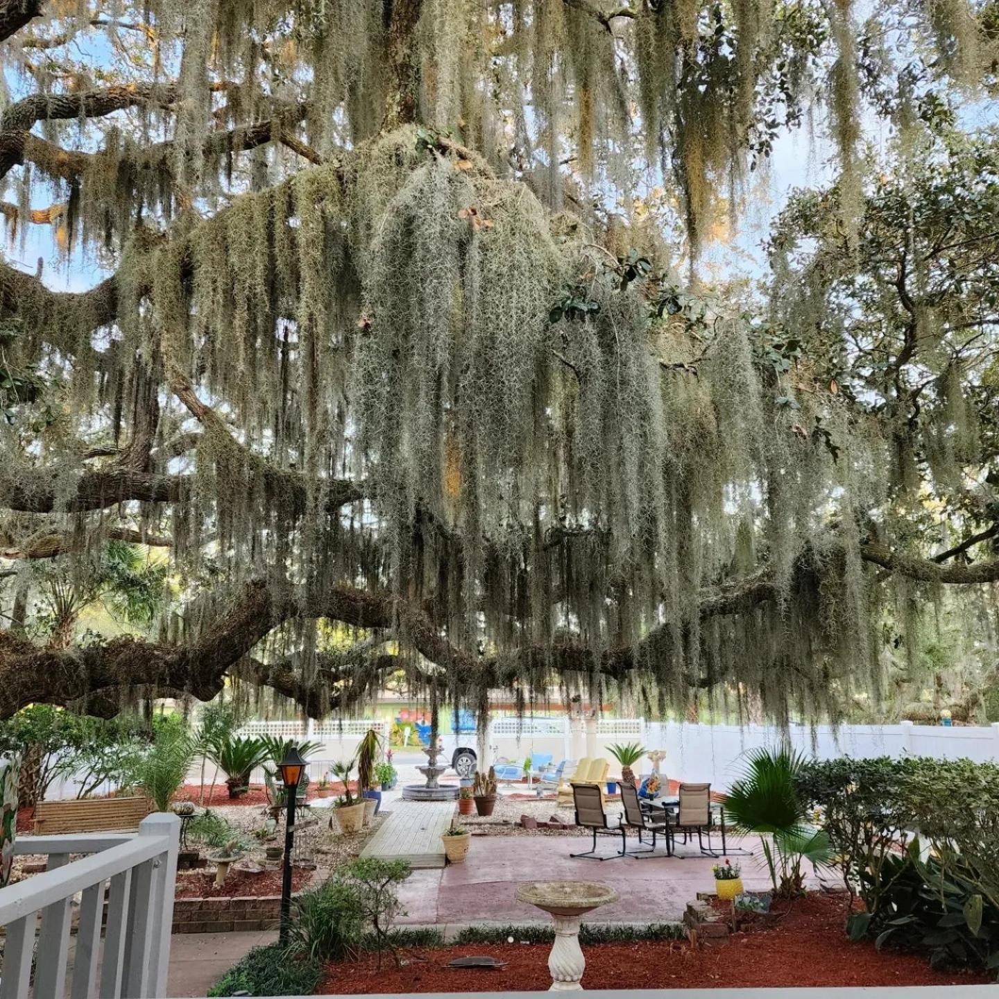 Tybee Island Inn Bed & Breakfast Exteriör bild